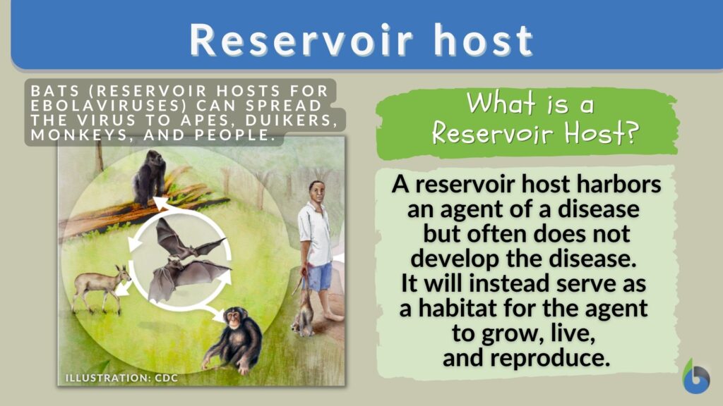 Explain Reservoir Host