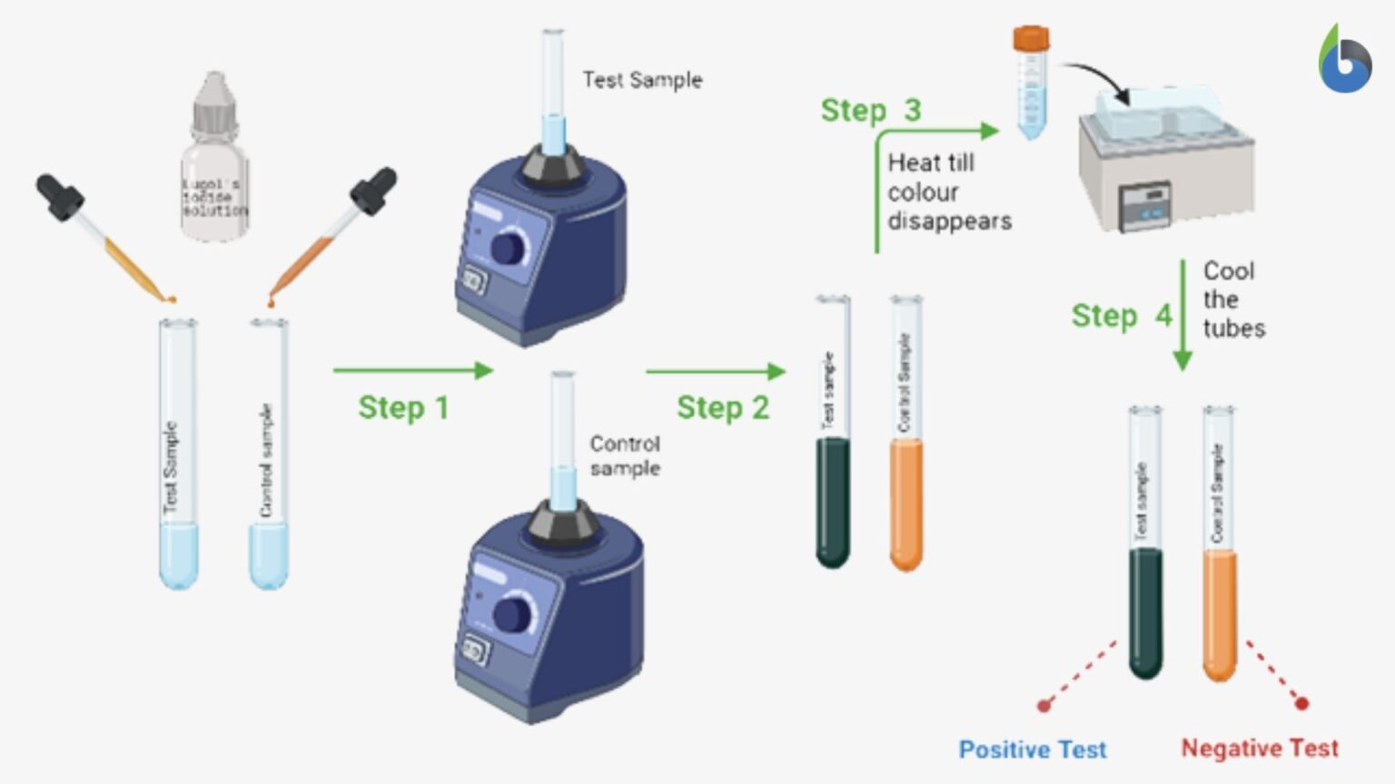 Iodine Test Definition And Examples Biology Online Dictionary 8850