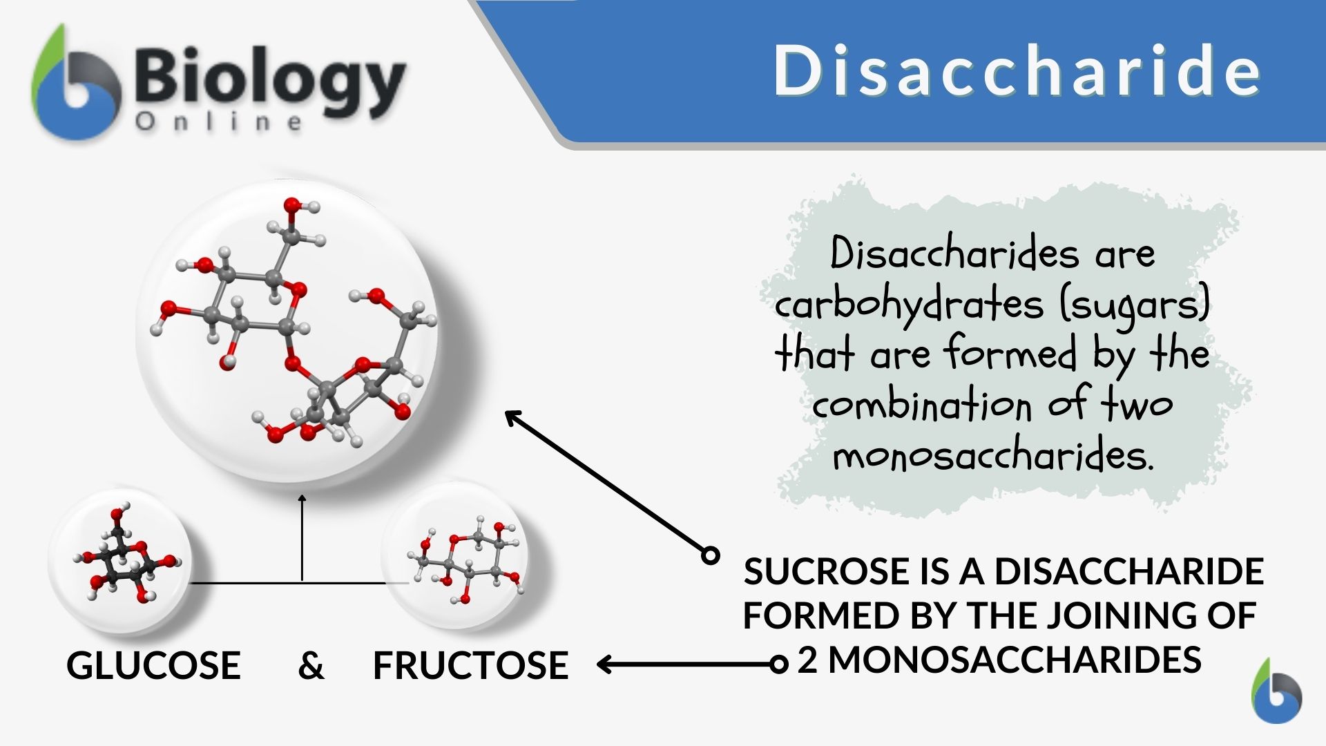 Monosaccharides (Glucose & Fructose) - Structure & Examples with Videos