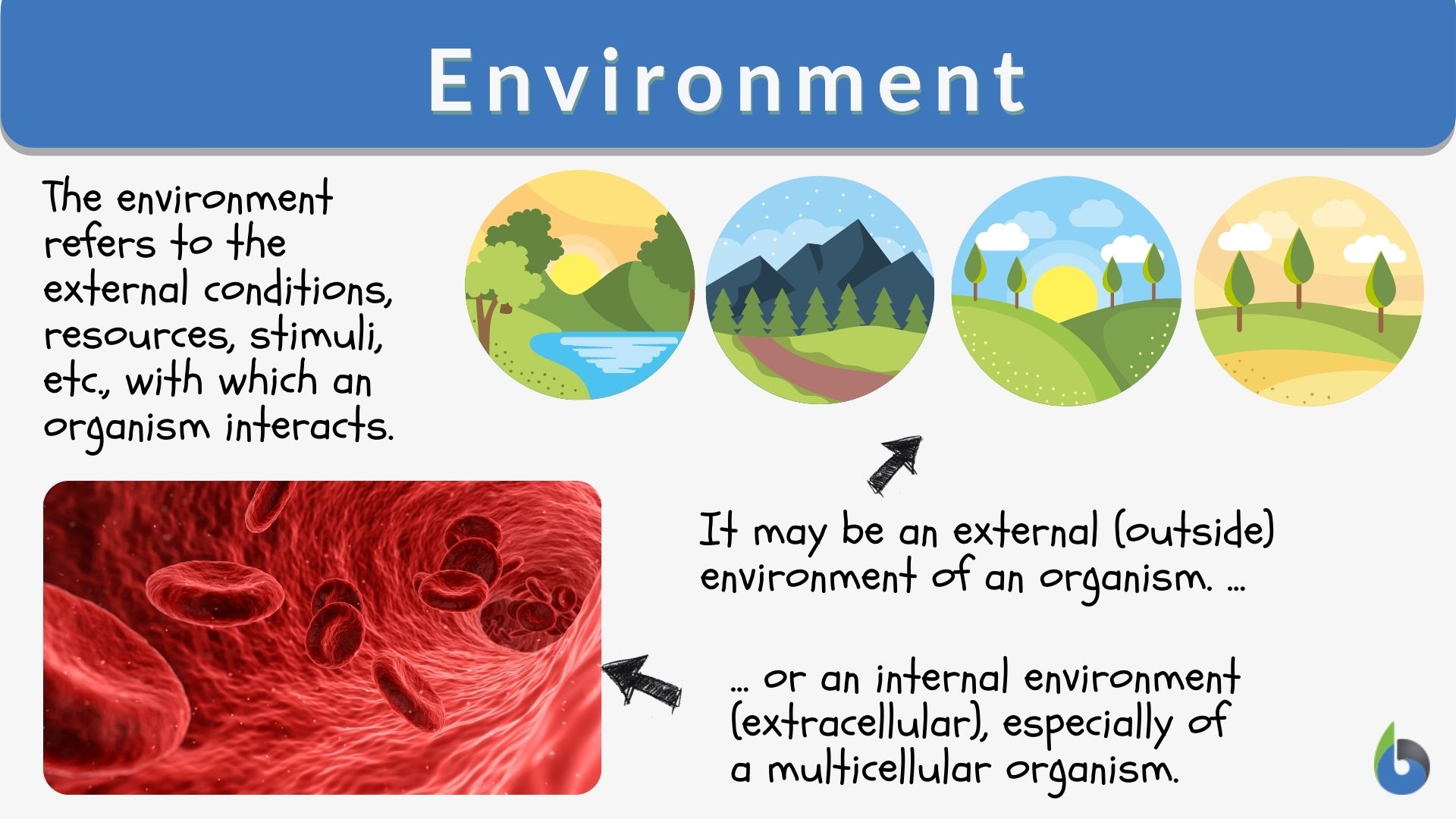 What is environment simple words?