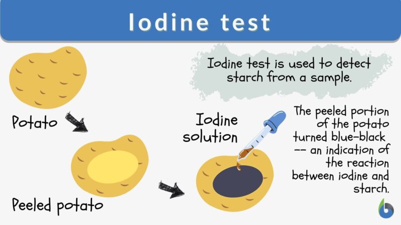 Iodine Test - Definition And Examples - Biology Online Dictionary