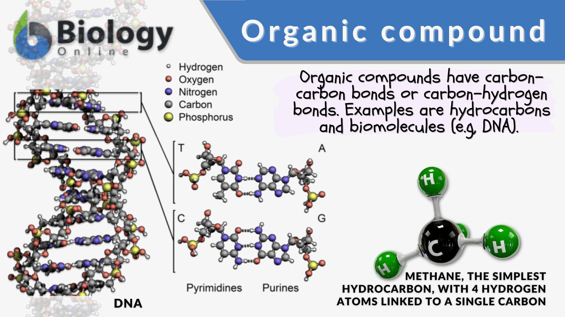 organic compounds examples