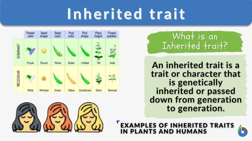 Inherited trait - Definition and Examples - Biology Online Dictionary