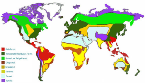 Biome - Definition and Examples - Biology Online Dictionary