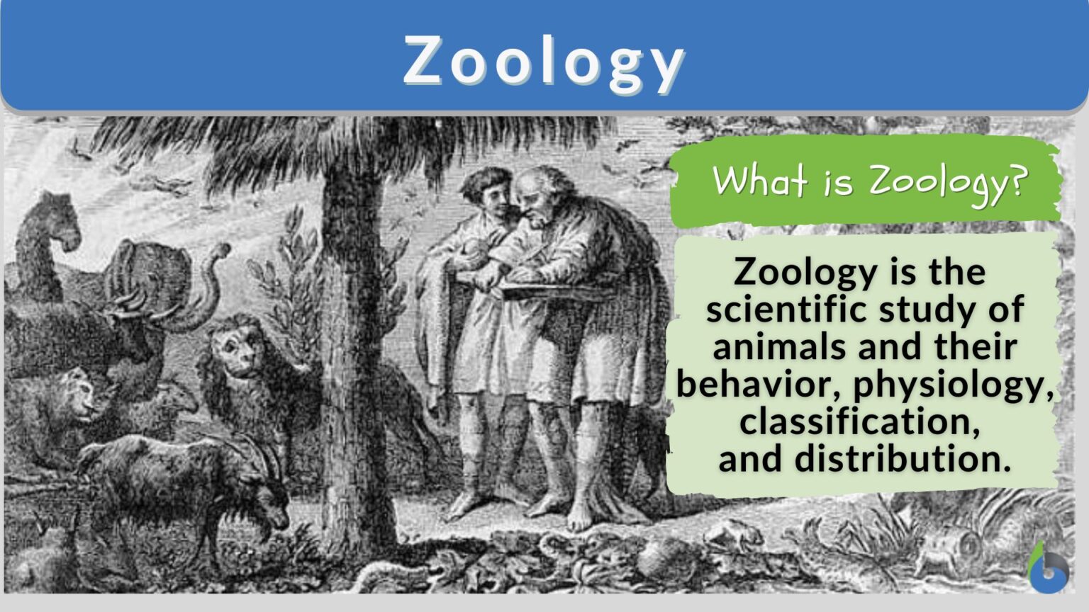 what is zoology thesis