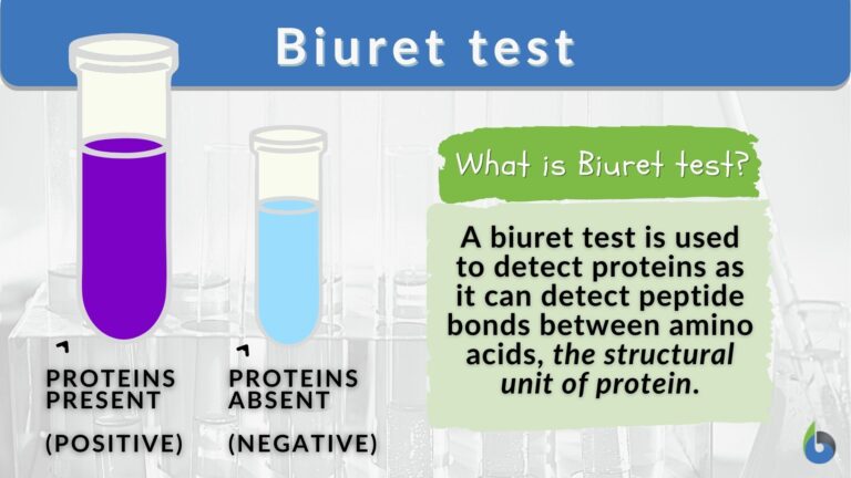 Biuret Test Definition And Examples Biology Online Dictionary 2133