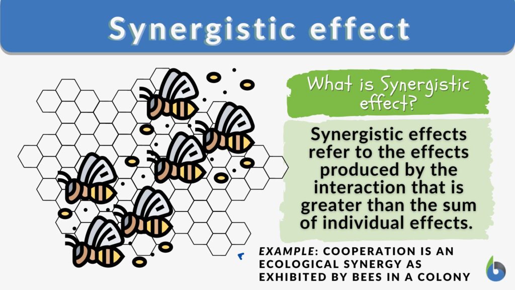 Synergistic Effect - Definition And Examples - Biology Online Dictionary