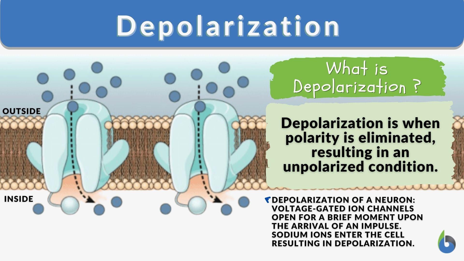 depolarization