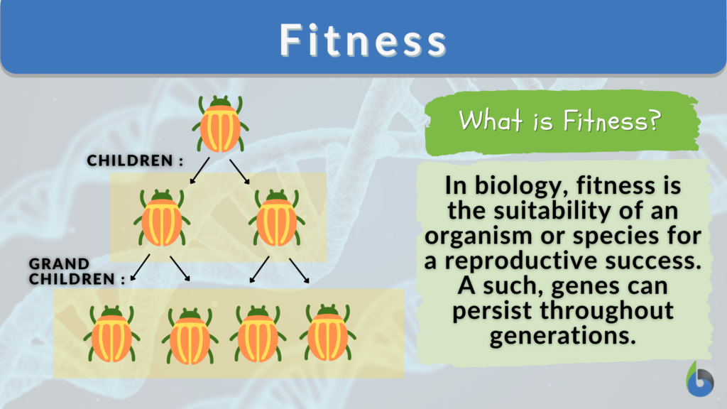 fitness-definition-and-examples-biology-online-dictionary