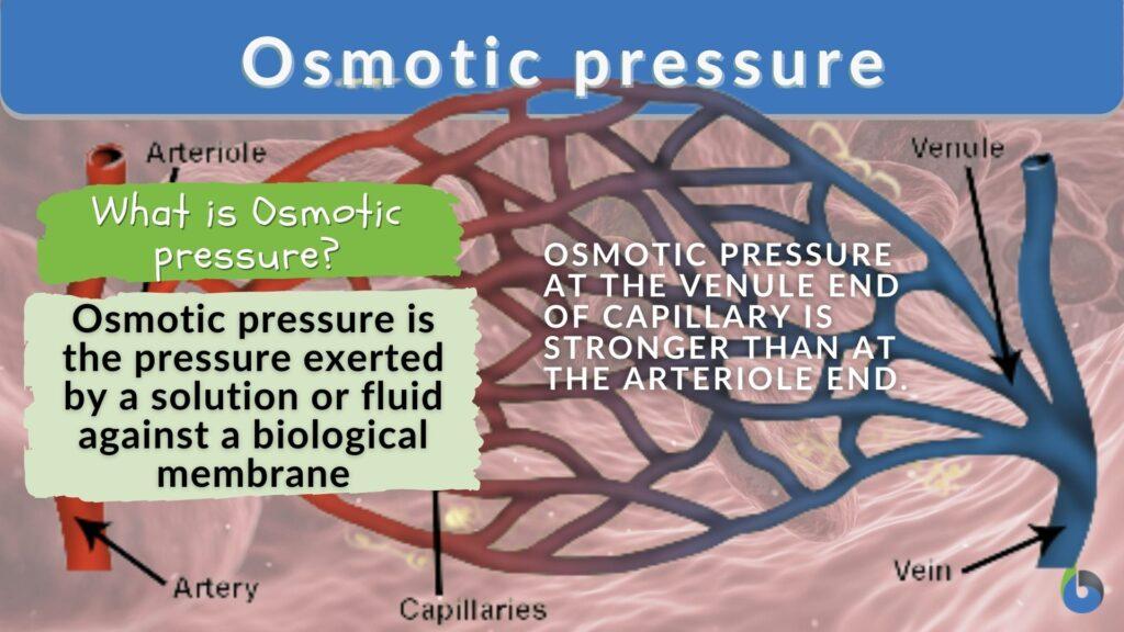 osmotic-pressure-definition-and-examples-biology-online-dictionary