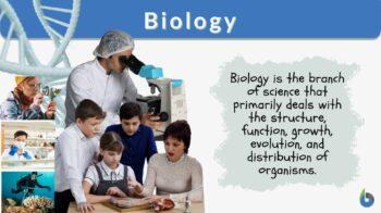 Biology n., [baɪˈɑlədʒi] Definition: scientific study of life