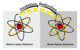 Oxidizer Definition and Examples - Biology Online Dictionary