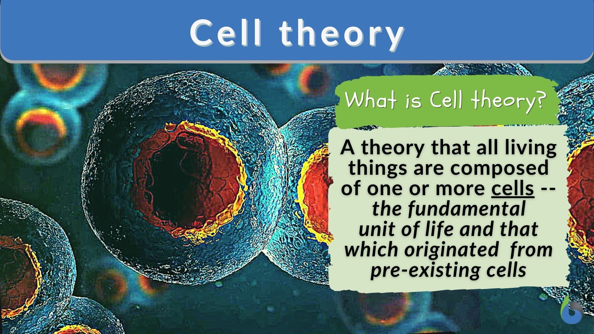 thesis statement of cell theory
