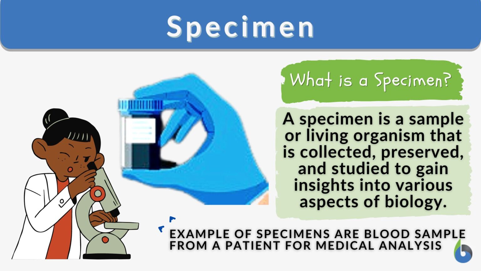 Specimen Definition And Examples Biology Online Dictionary